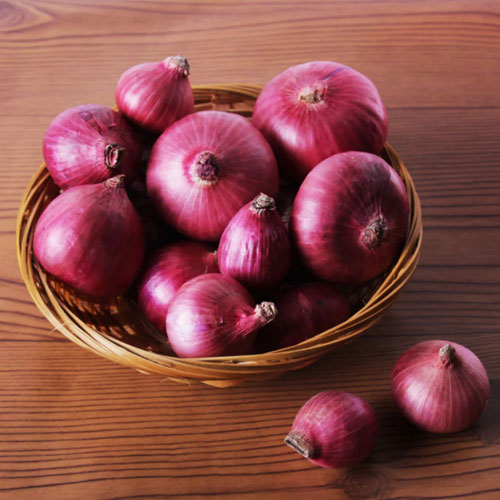 Red Onion 