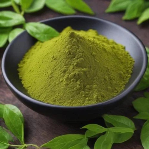Gymnema Sylvestre Powder