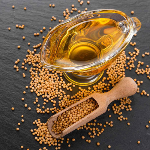 Yellow Mustard Seed / Oil