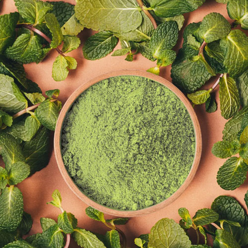 Dry Mint Leaves / Powder